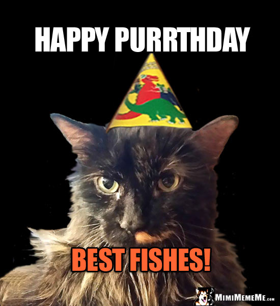 Funny Party Cat Says: Happy Purrthday. Best Fishes!