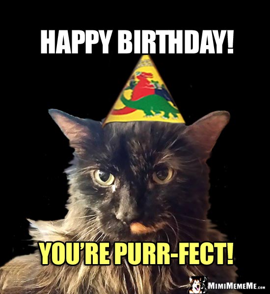 Fancy Party Cat Says: Happy Birthday! You're Purr-Fect!