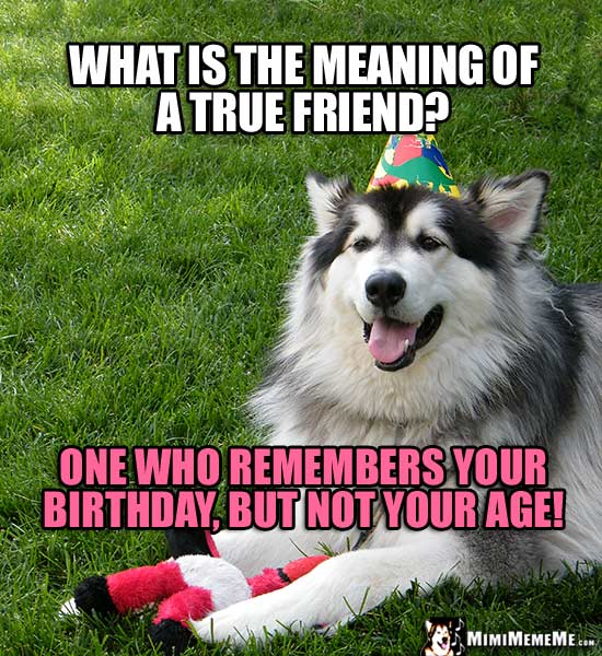 Dog, Man's Best Friend Asks: What is the meaning of a true friend? One who remembers your birthday, but not your age!