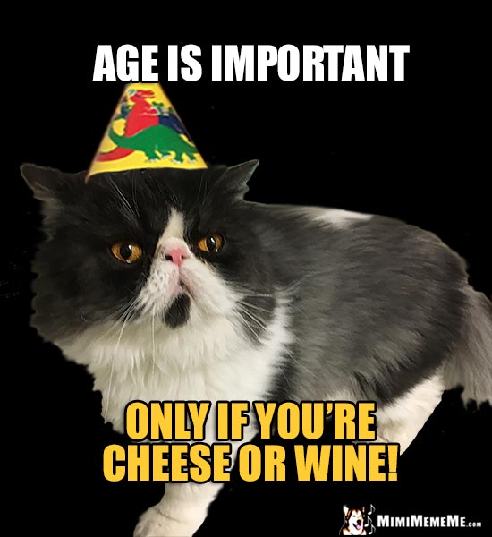 Reluctant Party Cat Says: Age is important only if you're cheese or wine!