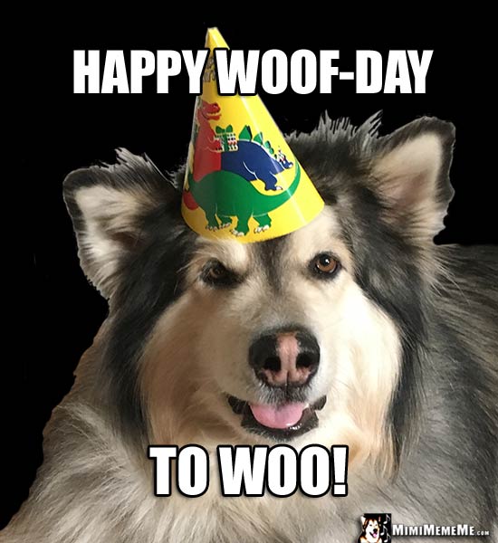 Handsome Dog in Party Hat Says: Happy Woof-Day to Woo!