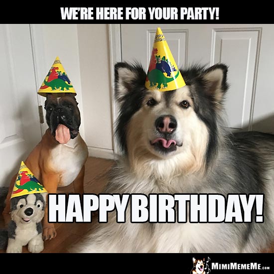 Party Dogs Say: We're here for your party! Happy Birthday!