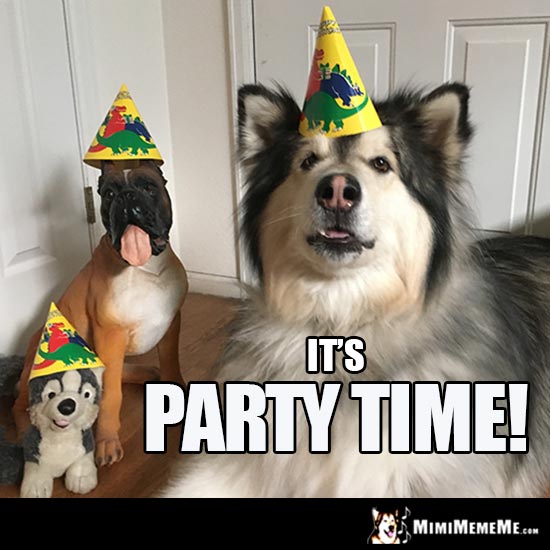 Party Dogs Say: It's Party Time!
