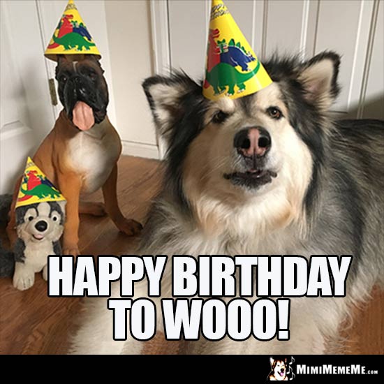 Big Dog and Toy Dogs in party hats say: Happy Birthday to WOOO!