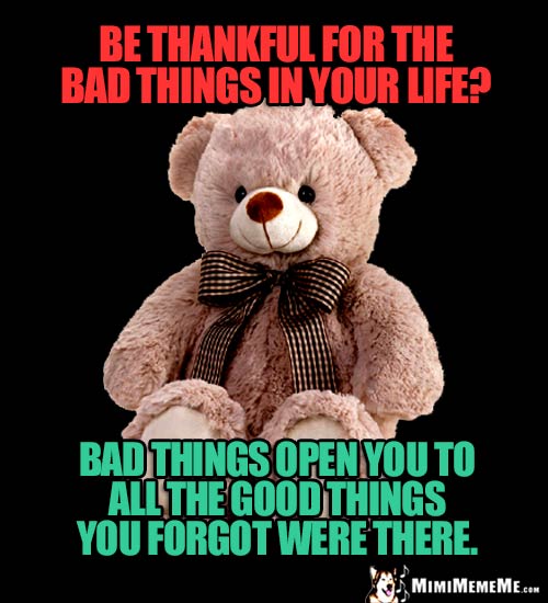 Inspirational Bear: Be thankful for the bad things in your life? Bad things open you to all the good things you forgot were there.