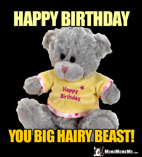 Teddy Bear Says: Happy Birthday You Big Hairy Beast!