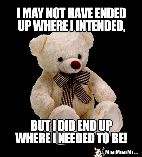 Sage Bear Says: I may not have ended up where I intended, but I did end up where I needed to be!