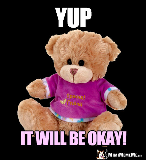 Special Friend Teddy Bear Says: Yup, It Will Be Okay!