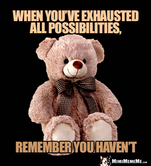 Zen Teddy Bear: When you've exhausted all possibilities, remember you haven't.