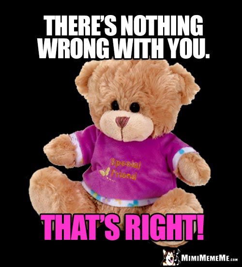 Best Friend Teddy Bear: There's nothing wrong with you. That's Right!