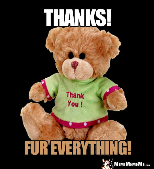 Teddy Bear Says: Thanks! Fur Everything!