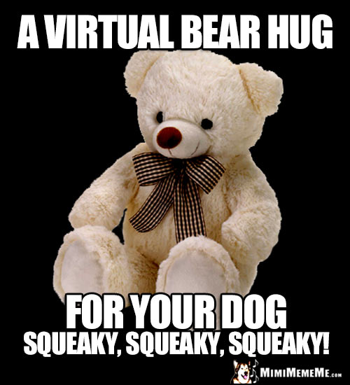 Teddy Bear: A virtual bear hug for your DOG, squeaky, squeaky, squeaky!