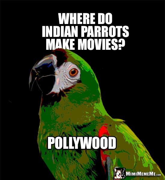 Silly Parrot Humor: Where do Indian parrots make movies? Pollywood