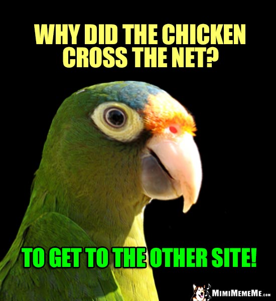 Hi-Tech Bird Humor: Why did the chicken cross the net? To get to the other site!