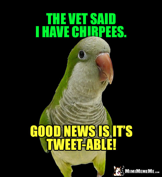 Sick Bird Joke: The vet said I have Chirpees. Good news is it's Tweet-able!