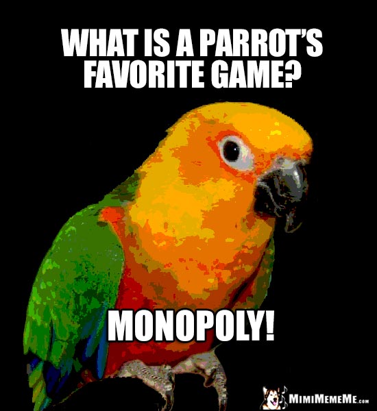 Playful Parrot Asks: What is a parrot's favorite game? Monopoly