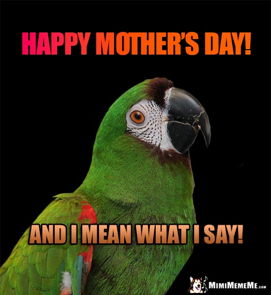 Parrot Says: Happy Mother's Day! And I Mean What I Say!