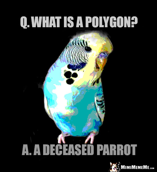 Dark Bird Humor: Q. What is a polygon? A. A deceased parrot