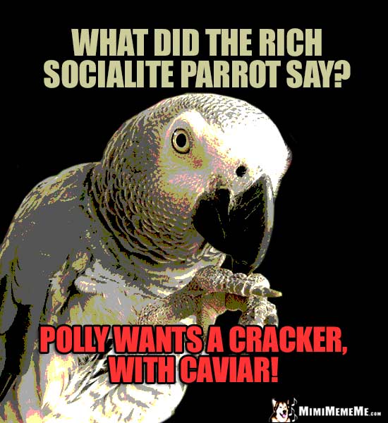 Parrot Riddle: What did the rich socialite parrot say? Polly wants a cracker, with caviar!
