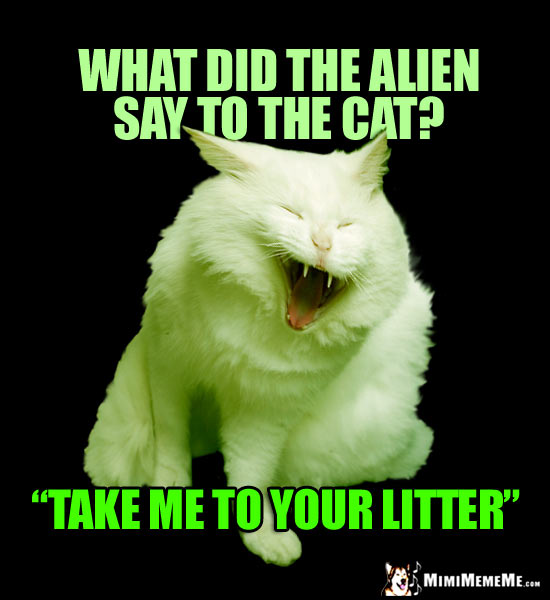Laughing Cat Says: What did the alien say to the cat? Take me to your litter.