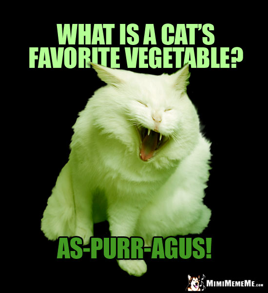 Laughing Cat Riddle: What is a cat's favorite vegetable? As-Purr-Agus!