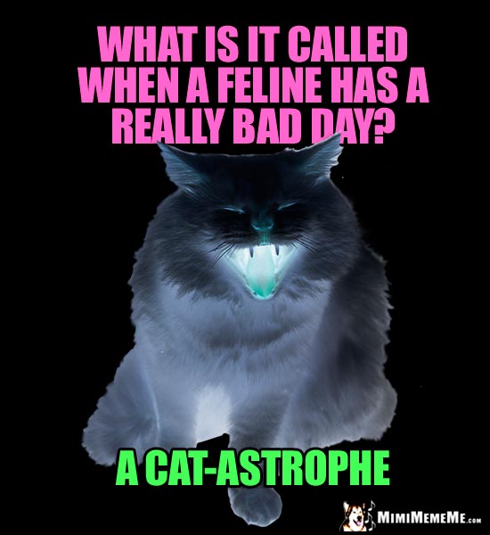 Dark Cat Meme: What is it called when a feline has a really bad day? A Cat-astrophe