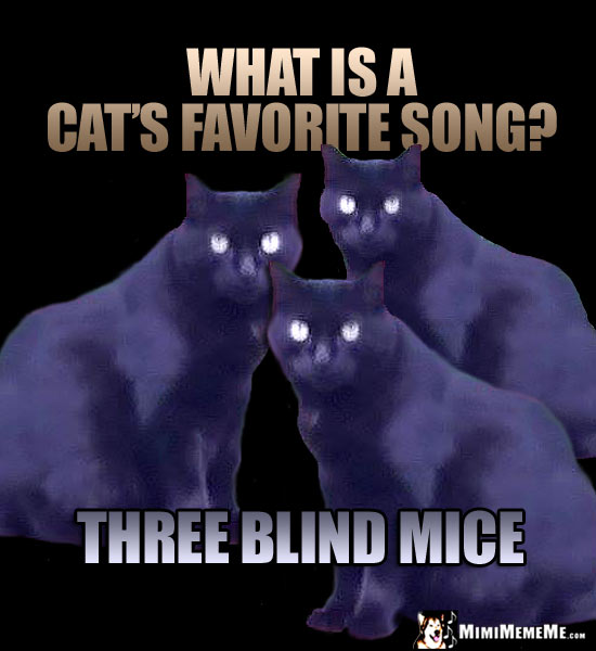Three Cats Ask: What is a cat's favorite song? Three blind mice