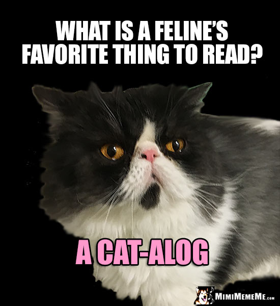 Smart Cat Asks: What is a feline's favorite thing to read? A Cat-alog