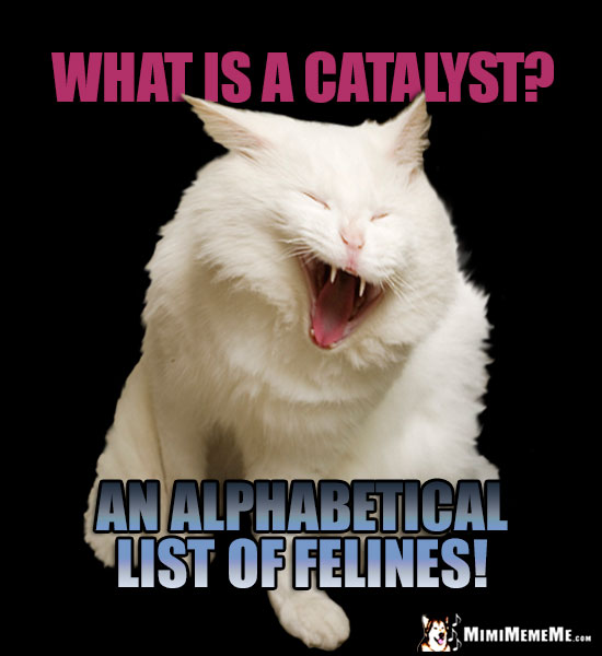 Laughing Cat Asks: What is a catalyst? An alphabetical list of felines!