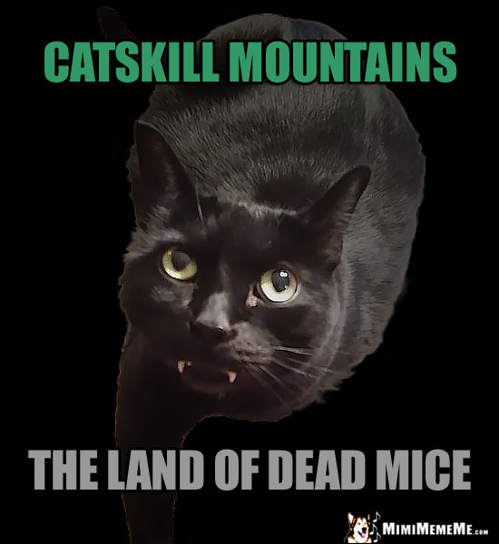 Fang Cat Humor: Catskil Mountains, the land of dead mice.
