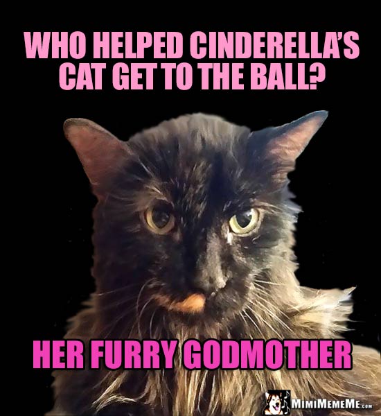 Fancy Cat Asks: Who helped Cinderella's Cat get to the ball? Her Furry Godmother