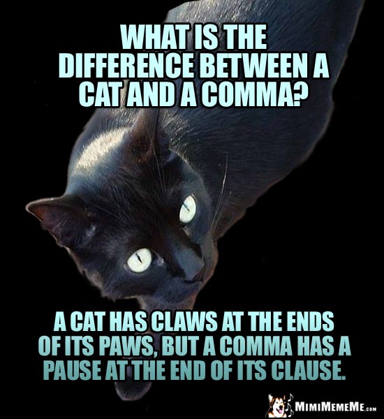 Smart Cat Riddle: What is the difference between a cat and a comma? A cat has claws at the ends of its paws, but a comma has a pause at the end of its clause. 