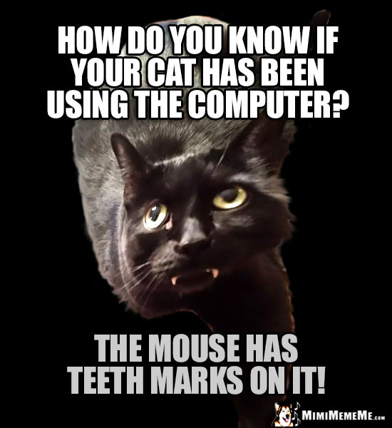 Fang Cat Asks: How do you know if your cat has been using the computer? The mouse has teeth marks on it!