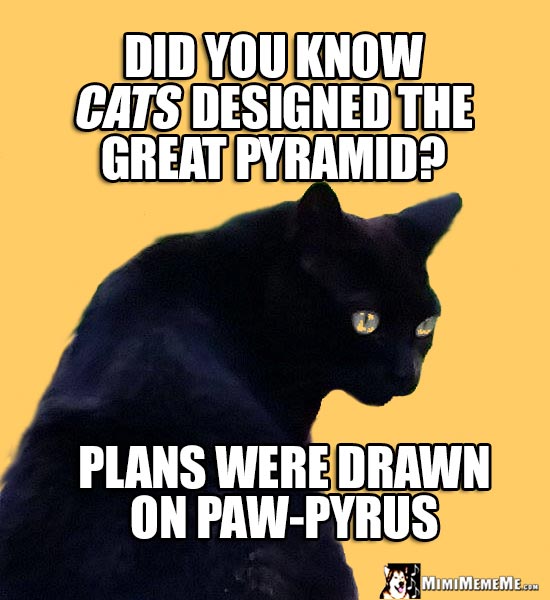 Age Old Cat Wisdom: Did you know cats designed the Great Pyramid? Plans were drawn on Paw-Pyrus