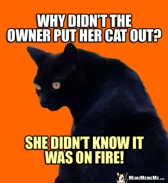 Black Cat Humor: Why didn't the owner put her cat out? She didn't know he was on fire!
