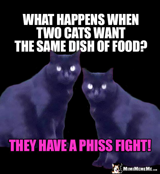 Cat Riddle: What happens when two cats want the same dish of food? They have a phiss fight!