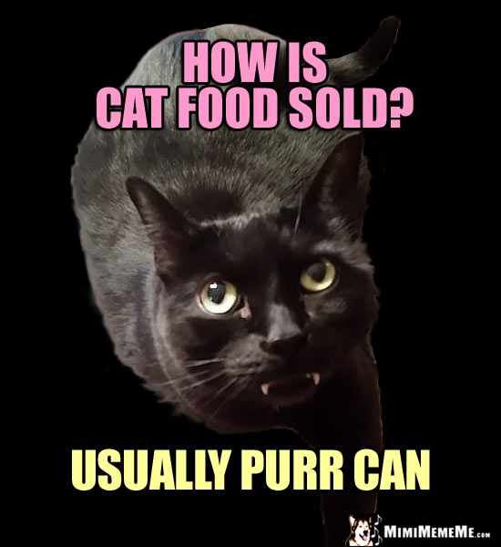 Fang Cat Asks: How is cat food sold? Usually purr can