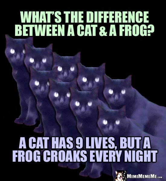 Cat Joke: What is the difference between a cat & a frog? A cat has 9 lives, but a frog croaks every night