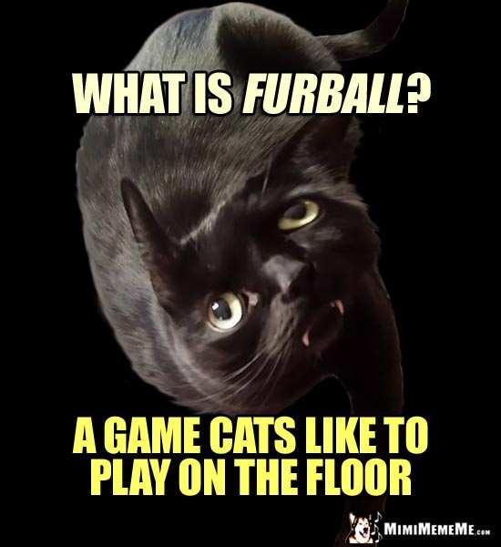 Twisted Cat Asks: What is Furball? A game cats like to play on the floor.