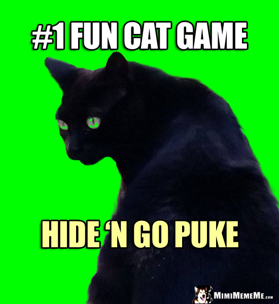 Black Cat Humor: #1 Cat Game is Hide 'n Go Puke