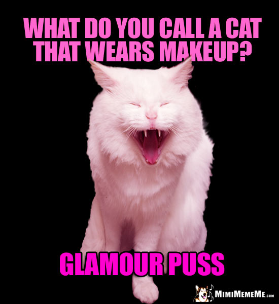 Laughing Cat Asks: What do you call a cat that wears makeup? Glamour Puss