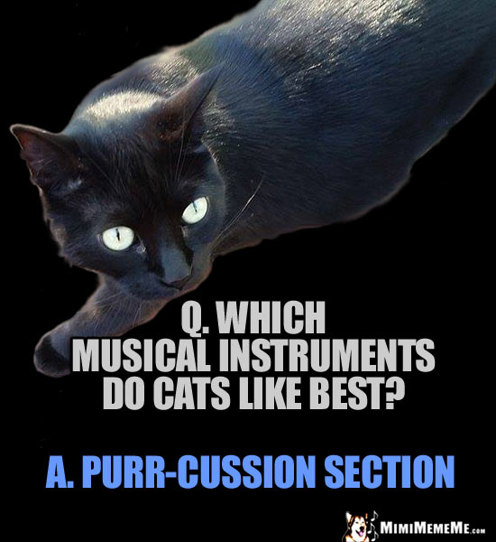 Cat Riddle: Q. Which musical instruments do cats like best? A. Purr-cussion section