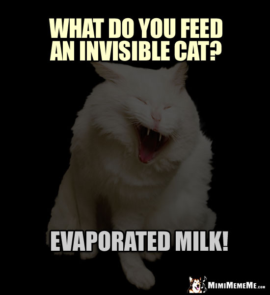 Laughing Cat Dairy Humor: What do you feed an invisible cat? Evaporated Milk