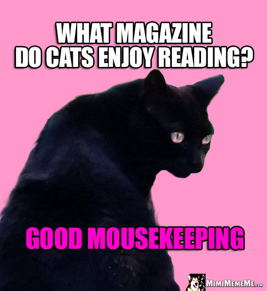 Miss Kitty Riddle: What magazine do cats enjoy reading? Good Mousekeeping