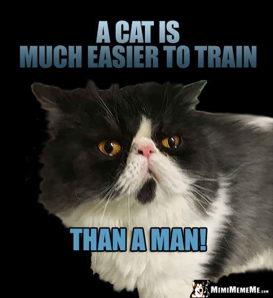 Dignified Cat Comments: A cat is much easier to train than a man!
