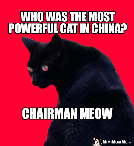Red Cat Joke: Who was the most powerful cat in China? Chairman Meow