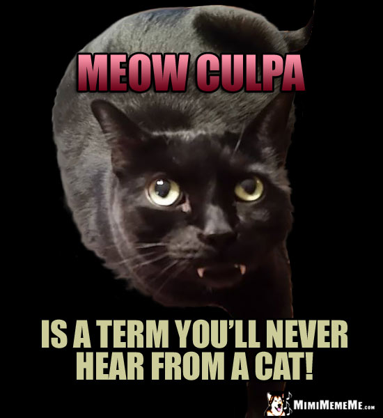 Lawyer Cat Joke: Mea Culpa is a term you'll never hear from a cat!