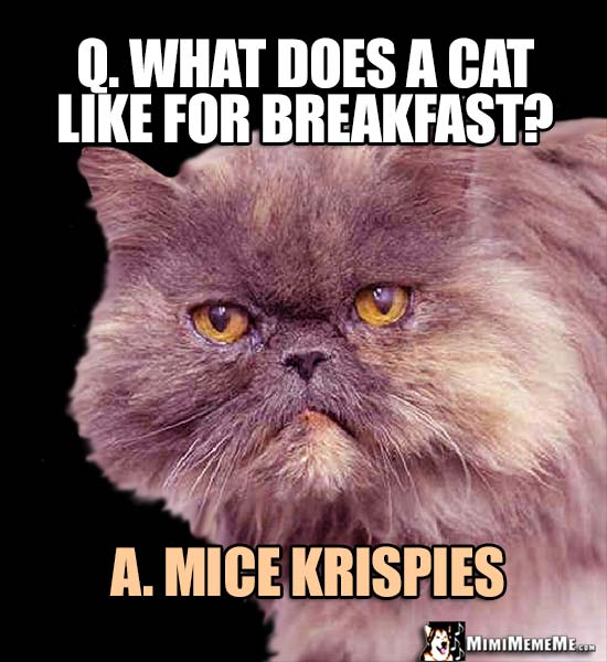 Fat Cat Riddle: Q. What does a cat like for breakfast? A. Mice Krispies