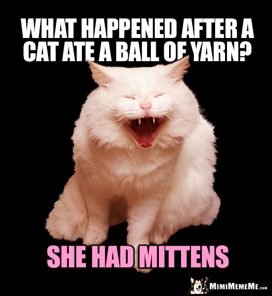 Laughing Cat Asks: What happened after a cat ate a ball of yarn? She had mittens.