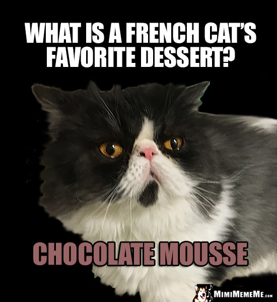 Refined Cat Humor: What is a French cat's favorite dessert? Chocolate Mousse
